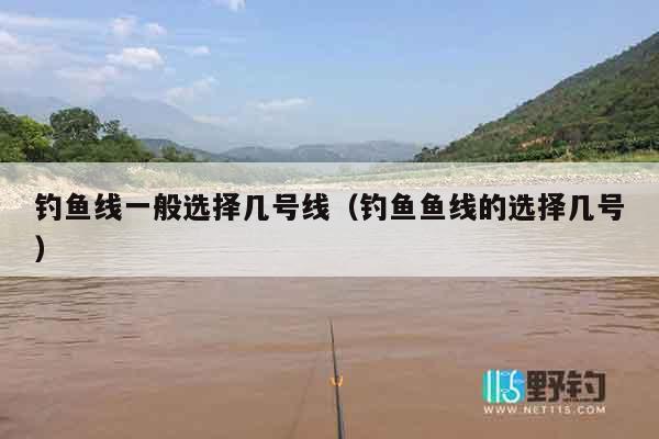 钓鱼线一般选择几号线（钓鱼鱼线的选择几号）
