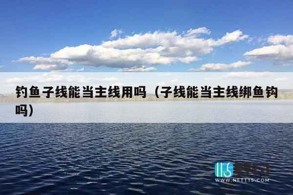 钓鱼子线能当主线用吗（子线能当主线绑鱼钩吗）