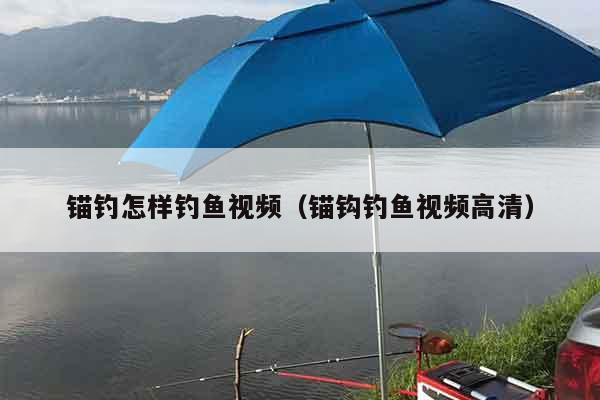 锚钓怎样钓鱼视频（锚钩钓鱼视频高清）