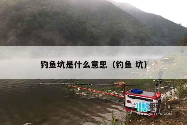 钓鱼坑是什么意思（钓鱼 坑）