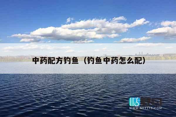 中药配方钓鱼（钓鱼中药怎么配）