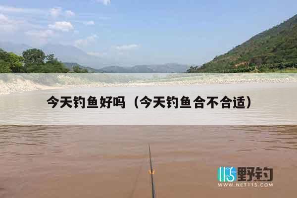 今天钓鱼好吗（今天钓鱼合不合适）