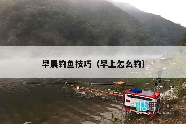 早晨钓鱼技巧（早上怎么钓）