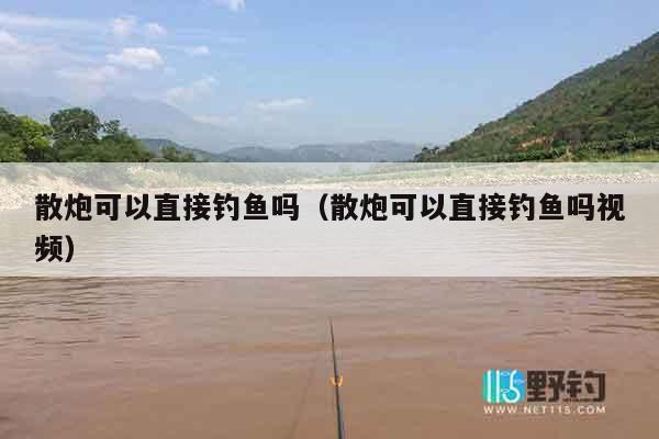 散炮可以直接钓鱼吗（散炮可以直接钓鱼吗视频）