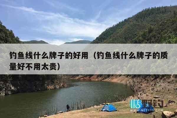 钓鱼线什么牌子的好用（钓鱼线什么牌子的质量好不用太贵）