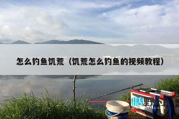 怎么钓鱼饥荒（饥荒怎么钓鱼的视频教程）
