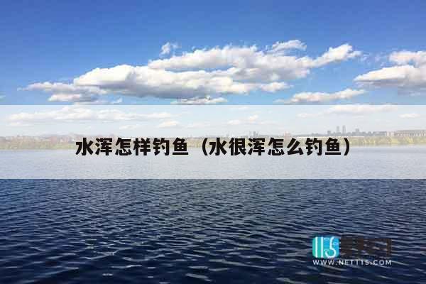 水浑怎样钓鱼（水很浑怎么钓鱼）