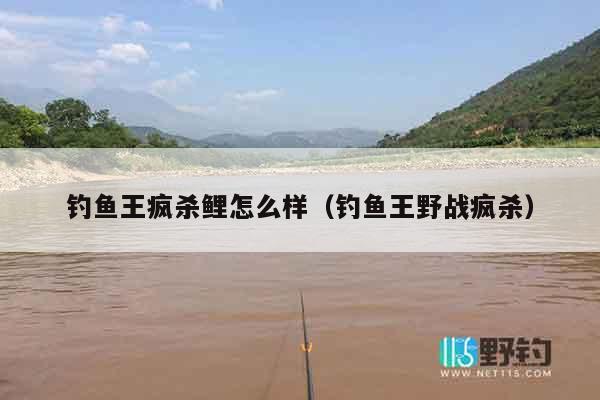 钓鱼王疯杀鲤怎么样（钓鱼王野战疯杀）