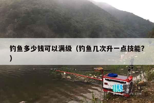 钓鱼多少钱可以满级（钓鱼几次升一点技能?）