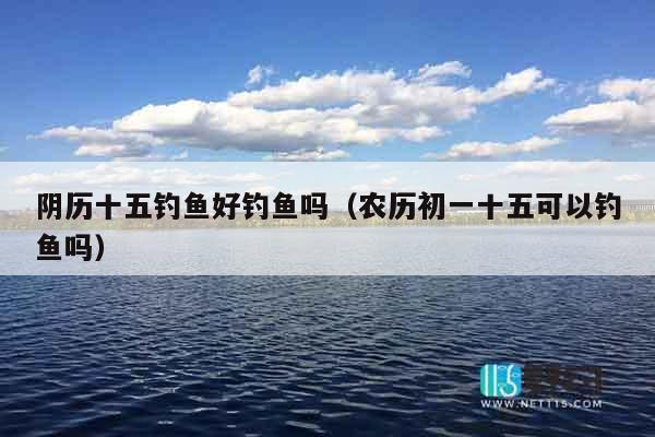 阴历十五钓鱼好钓鱼吗（农历初一十五可以钓鱼吗）