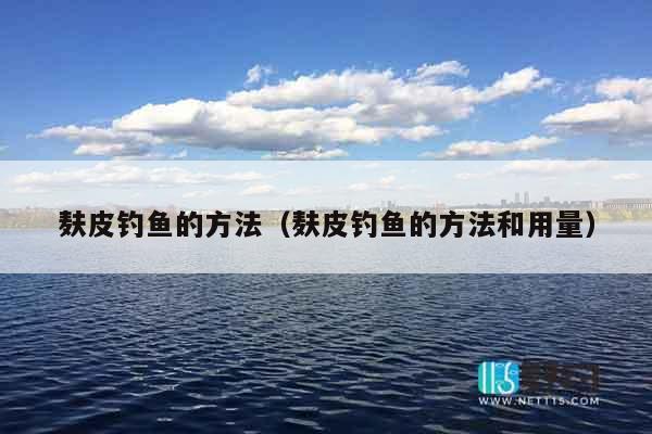 麸皮钓鱼的方法（麸皮钓鱼的方法和用量）