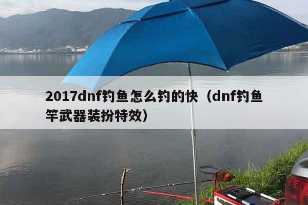 2017dnf钓鱼怎么钓的快（dnf钓鱼竿武器装扮特效）