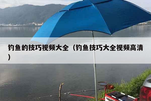 钓鱼的技巧视频大全（钓鱼技巧大全视频高清）