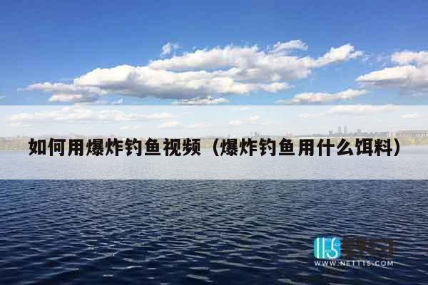如何用爆炸钓鱼视频（爆炸钓鱼用什么饵料）