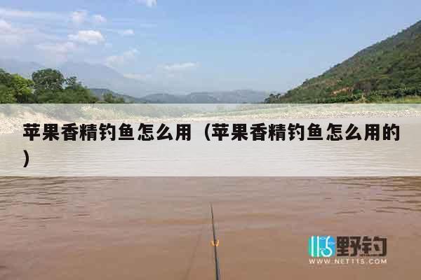 苹果香精钓鱼怎么用（苹果香精钓鱼怎么用的）