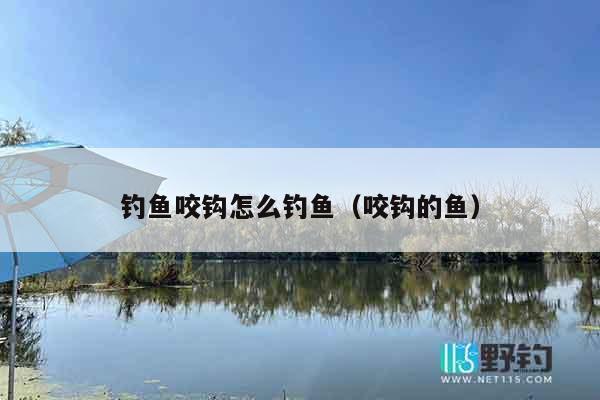 钓鱼咬钩怎么钓鱼（咬钩的鱼）