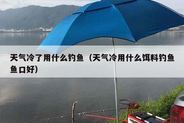天气冷了用什么钓鱼（天气冷用什么饵料钓鱼鱼口好）