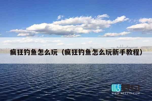 疯狂钓鱼怎么玩（疯狂钓鱼怎么玩新手教程）