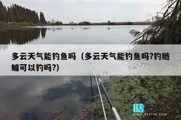 多云天气能钓鱼吗（多云天气能钓鱼吗?钓鲢鳙可以钓吗?）