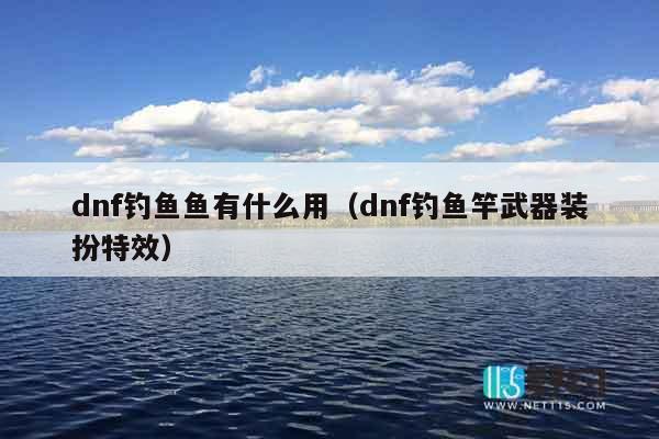dnf钓鱼鱼有什么用（dnf钓鱼竿武器装扮特效）