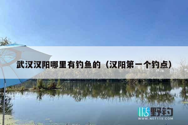 武汉汉阳哪里有钓鱼的（汉阳第一个钓点）