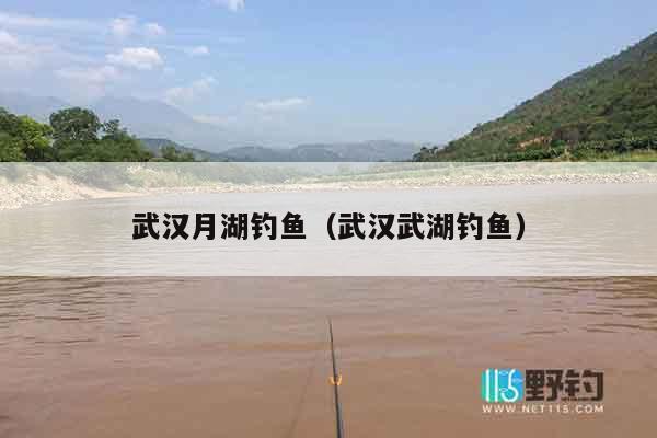 武汉月湖钓鱼（武汉武湖钓鱼）