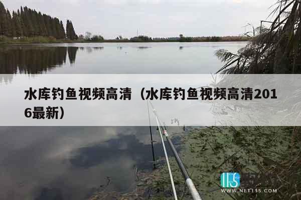 水库钓鱼视频高清（水库钓鱼视频高清2016最新）