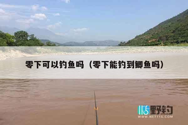 零下可以钓鱼吗（零下能钓到鲫鱼吗）