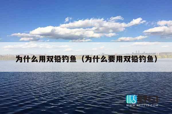 为什么用双铅钓鱼（为什么要用双铅钓鱼）