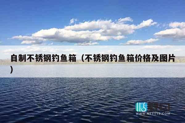 自制不锈钢钓鱼箱（不锈钢钓鱼箱价格及图片）