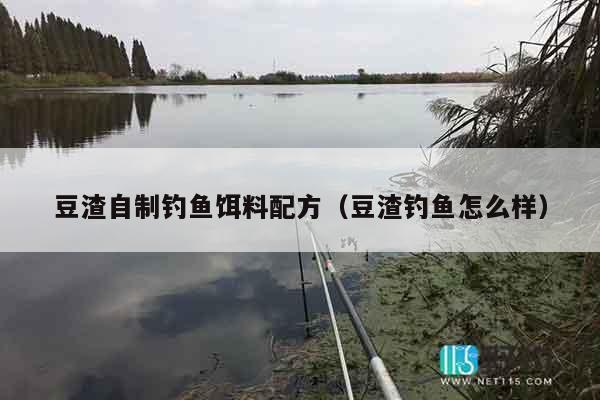 豆渣自制钓鱼饵料配方（豆渣钓鱼怎么样）