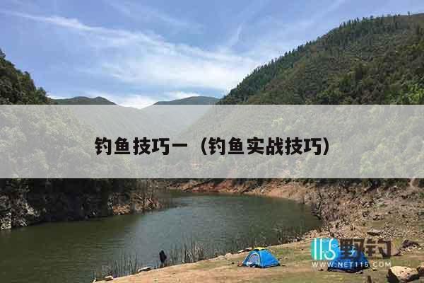 钓鱼技巧一（钓鱼实战技巧）