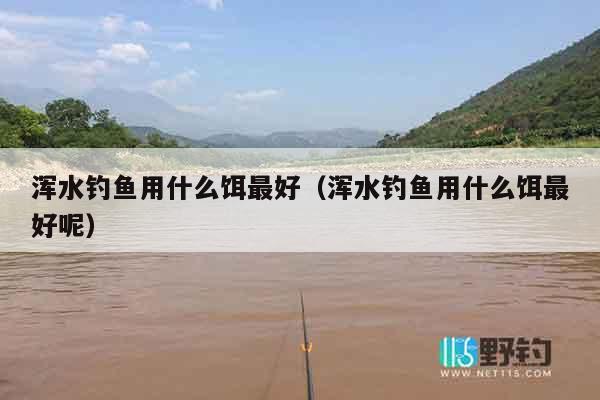 浑水钓鱼用什么饵最好（浑水钓鱼用什么饵最好呢）