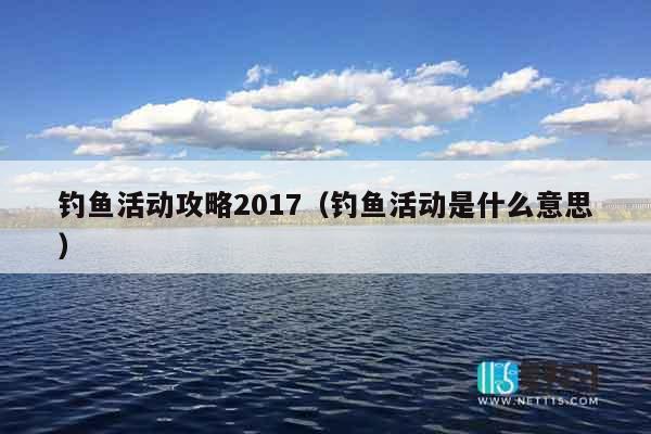 钓鱼活动攻略2017（钓鱼活动是什么意思）