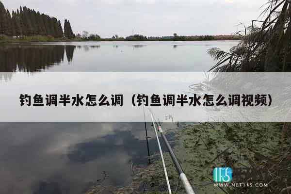 钓鱼调半水怎么调（钓鱼调半水怎么调视频）