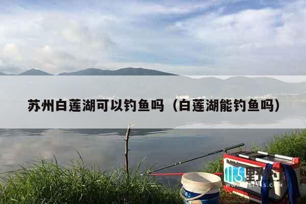 苏州白莲湖可以钓鱼吗（白莲湖能钓鱼吗）