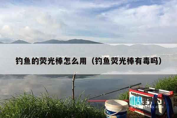 钓鱼的荧光棒怎么用（钓鱼荧光棒有毒吗）