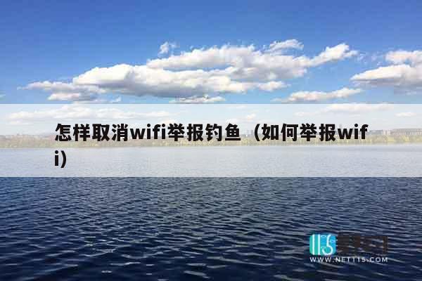 怎样取消wifi举报钓鱼（如何举报wifi）