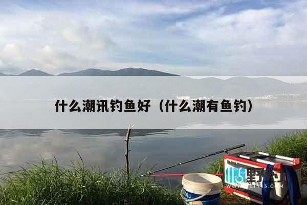 什么潮讯钓鱼好（什么潮有鱼钓）