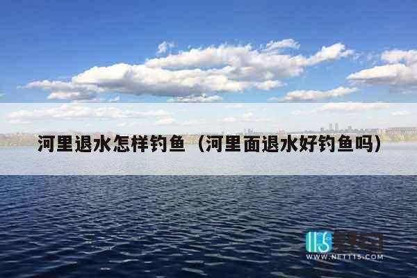 河里退水怎样钓鱼（河里面退水好钓鱼吗）
