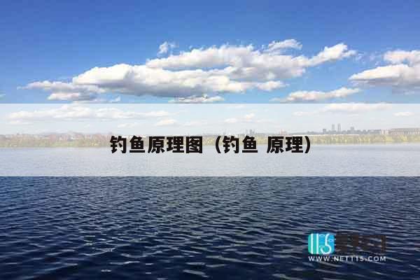 钓鱼原理图（钓鱼 原理）