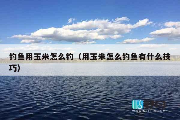 钓鱼用玉米怎么钓（用玉米怎么钓鱼有什么技巧）