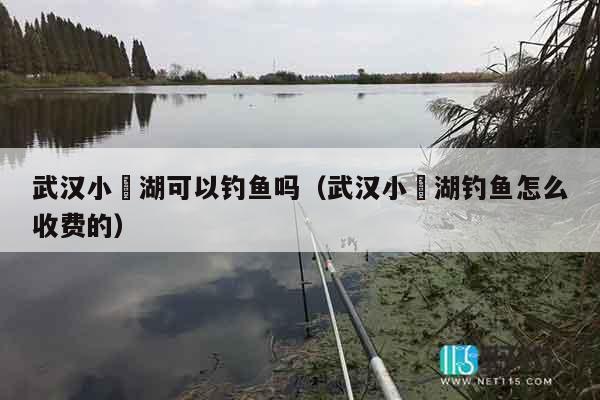 武汉小奓湖可以钓鱼吗（武汉小奓湖钓鱼怎么收费的）