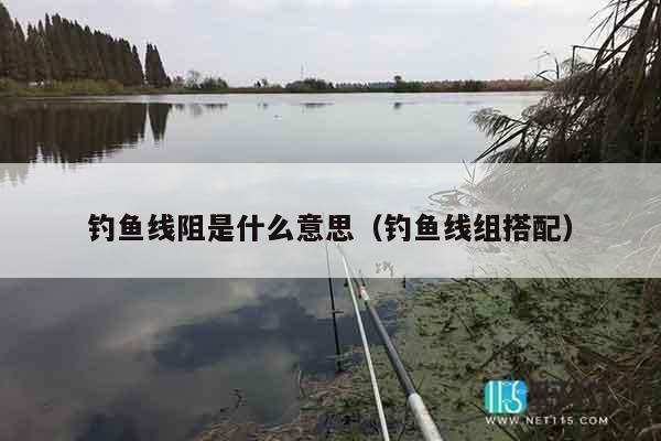 钓鱼线阻是什么意思（钓鱼线组搭配）