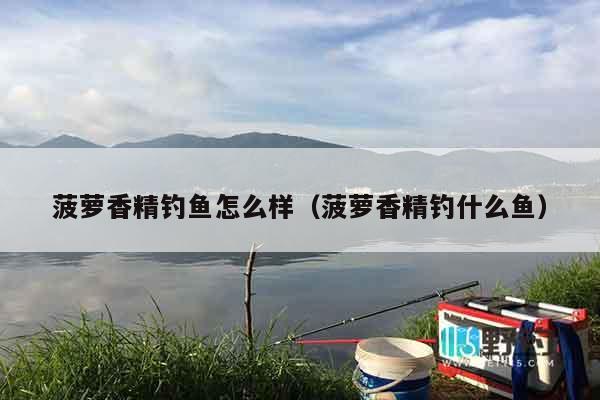菠萝香精钓鱼怎么样（菠萝香精钓什么鱼）