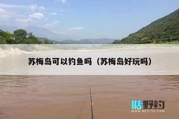 苏梅岛可以钓鱼吗（苏梅岛好玩吗）