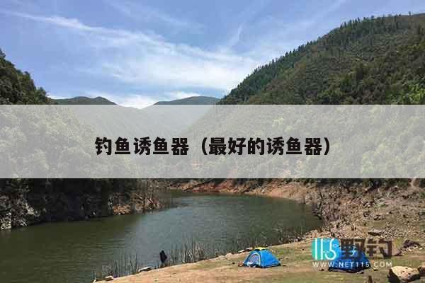 钓鱼诱鱼器（最好的诱鱼器）
