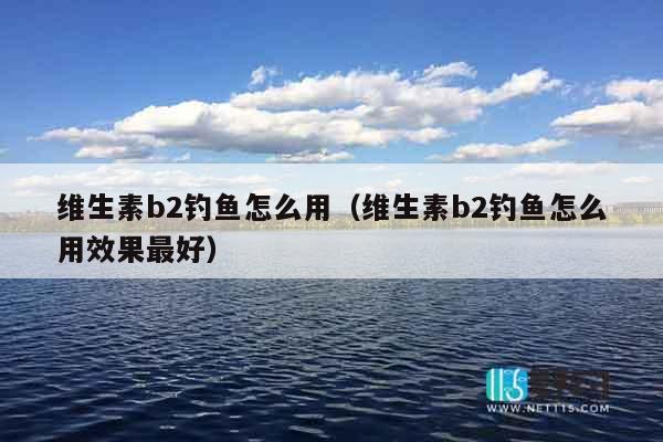 维生素b2钓鱼怎么用（维生素b2钓鱼怎么用效果最好）