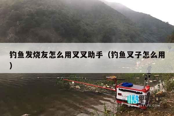 钓鱼发烧友怎么用叉叉助手（钓鱼叉子怎么用）