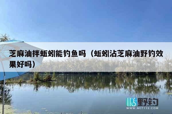 芝麻油拌蚯蚓能钓鱼吗（蚯蚓沾芝麻油野钓效果好吗）